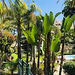 Lomas Del Rey