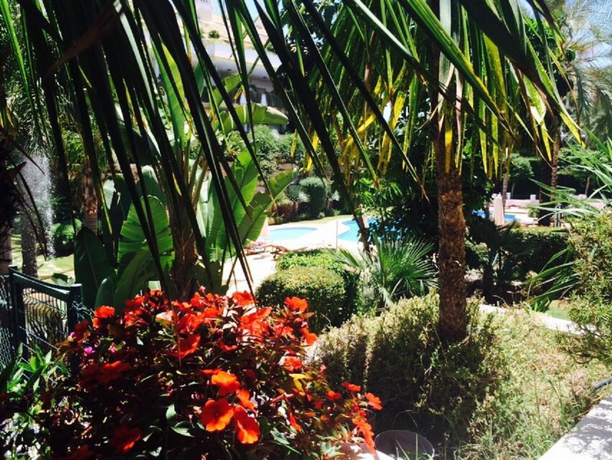 Lomas Del Rey Apartamento